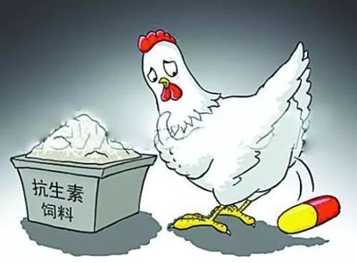 云南省食品抽检中的兽药残留与抗生素问题 现状、风险与治理对策