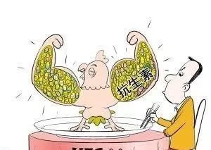 蔬菜大棚与果园施用鸡粪的八大灾害 抗生素残留的隐形威胁